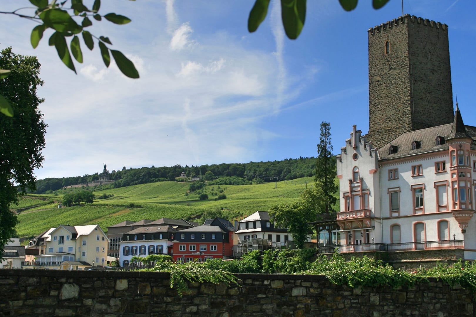 Weinberge Burg und Niederwalddenkmal Weinberge Burg und Niederwalddenkmal